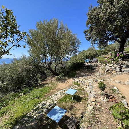 Casa Musicale Hotel Pigna Luaran gambar
