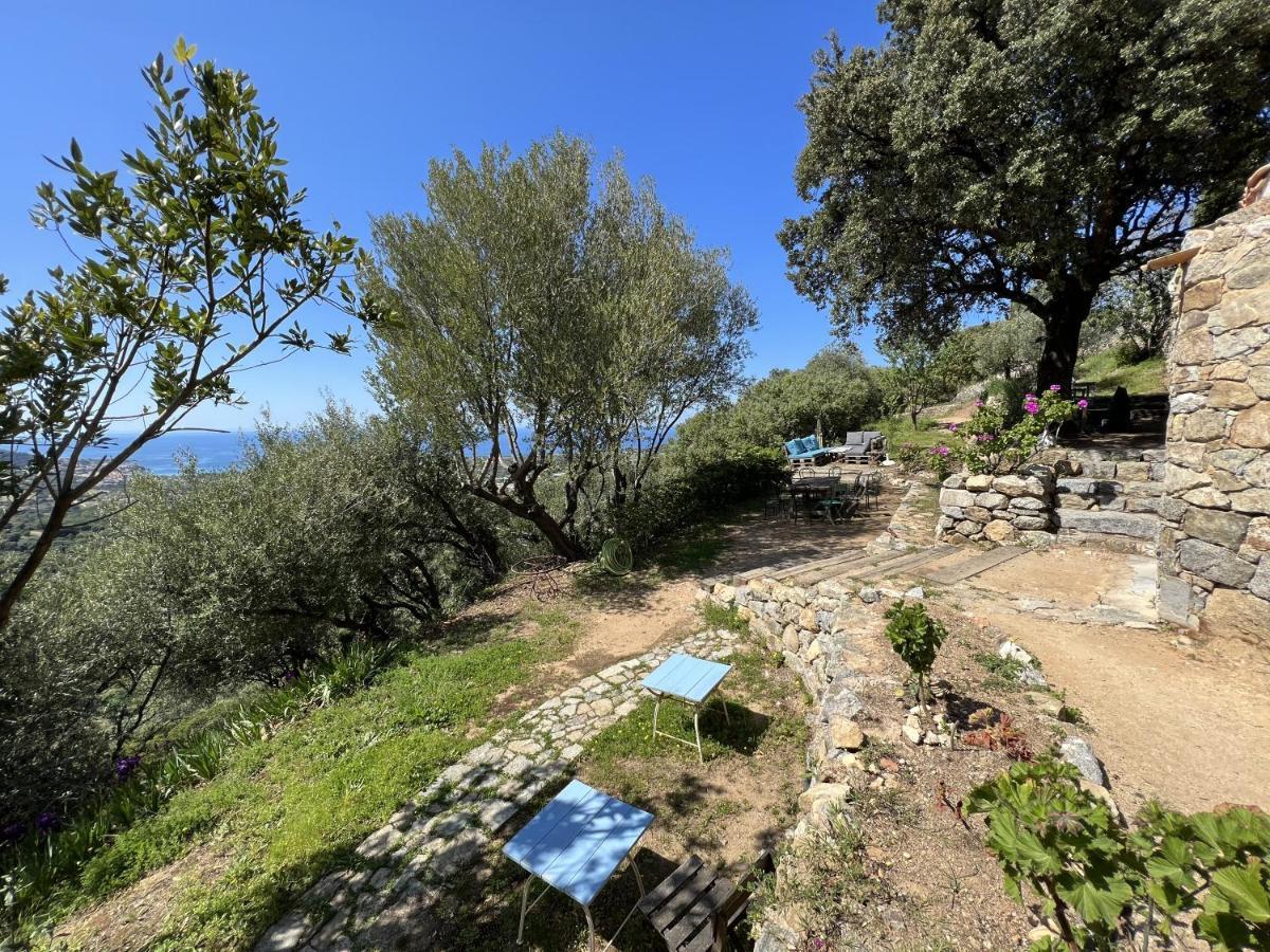 Casa Musicale Hotel Pigna Luaran gambar
